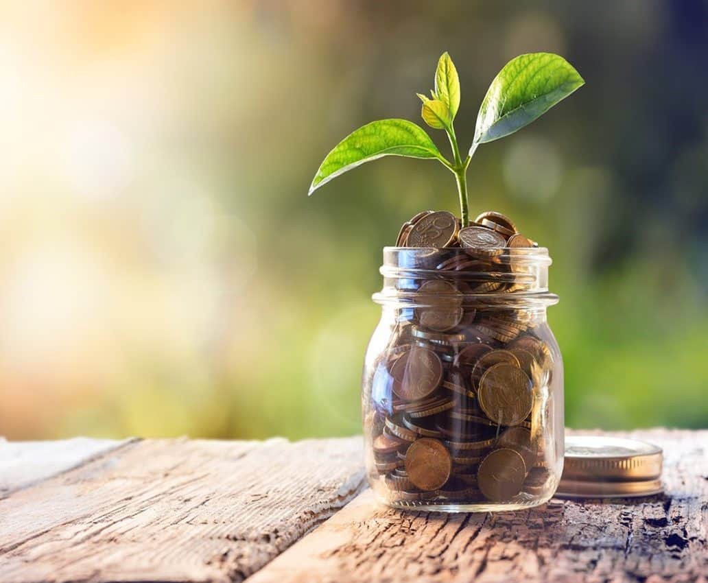 Jar of money with a plant