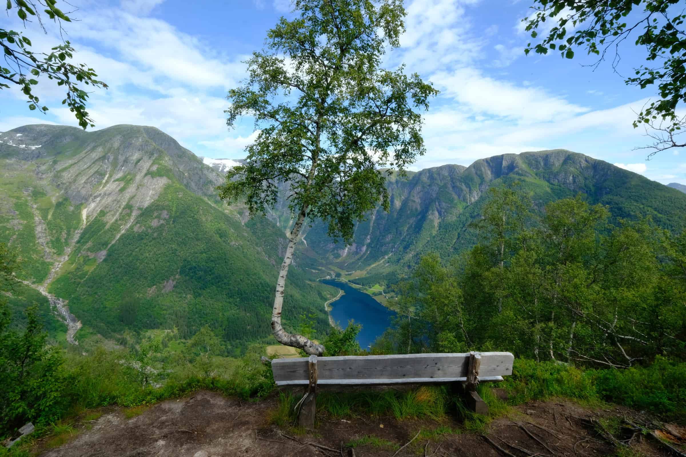 mountains with a bench overlooking