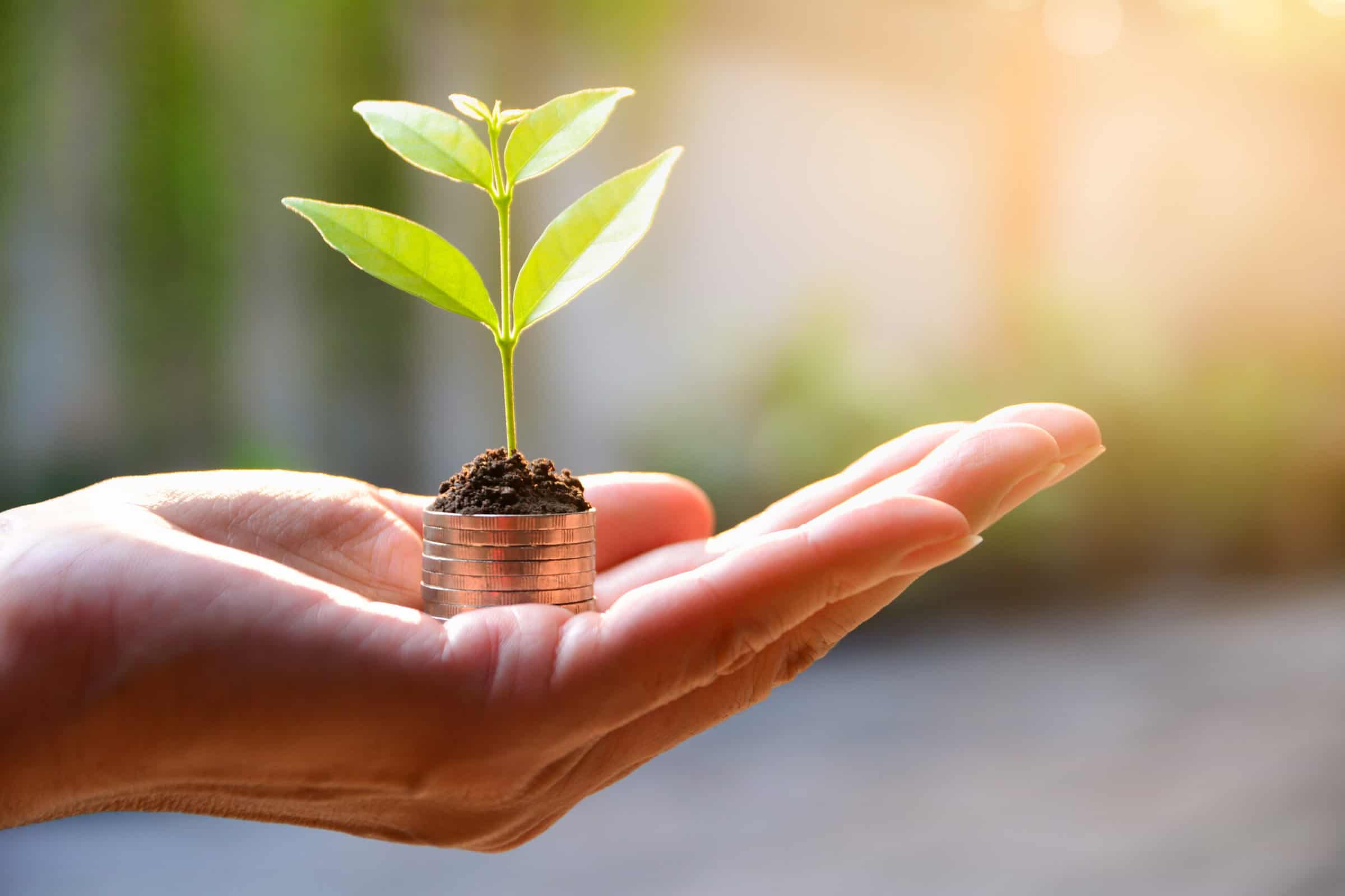 Concept of money with plant growing from coins in hand.