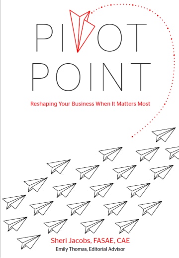 Pivot Point book cover