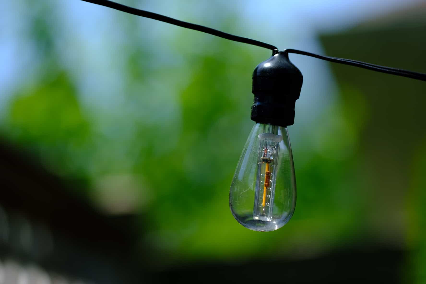 lightbulb lightbulb